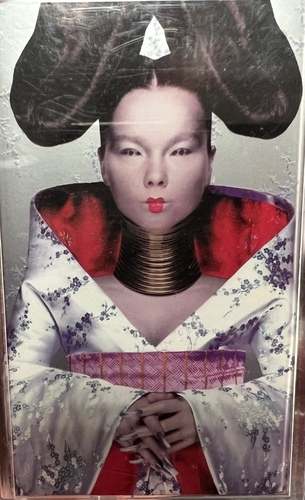 Björk – Homogenic
