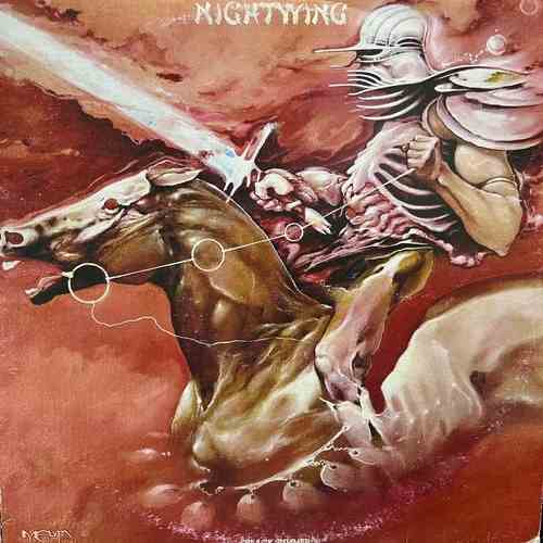 Nightwing – Black Summer