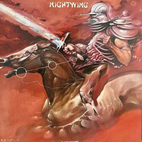 Nightwing – Black Summer