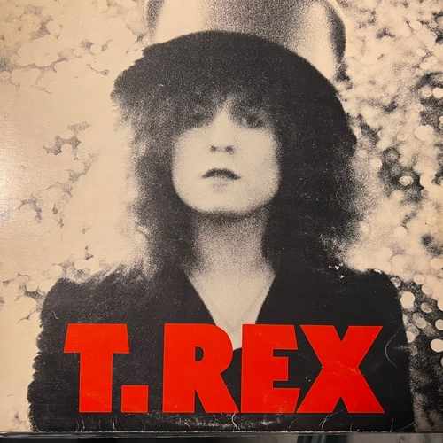 T. Rex – The Slider