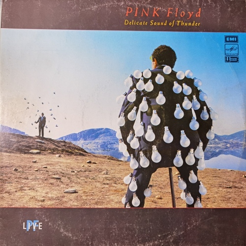 Pink Floyd – Delicate Sound Of Thunder