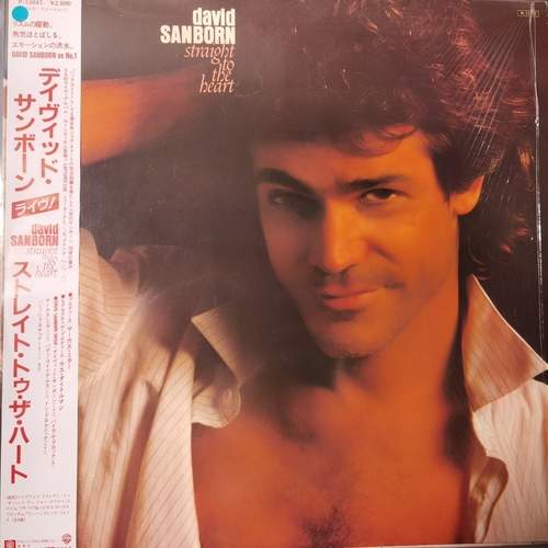 David Sanborn – Straight To The Heart