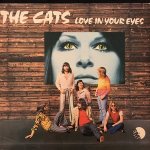 The Cats ‎– Love In Your Eyes