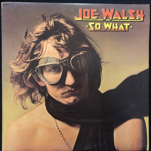 Joe Walsh ‎– So What