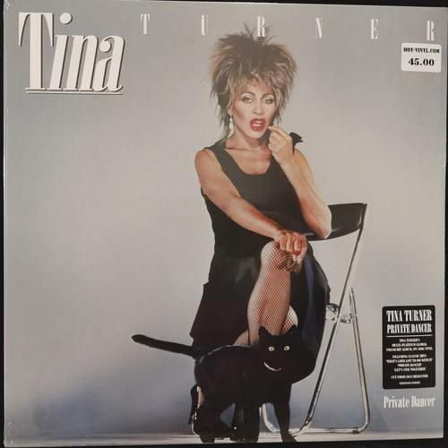 Tina Turner – Private Dancer