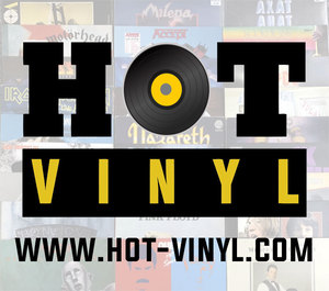 vinyl.com