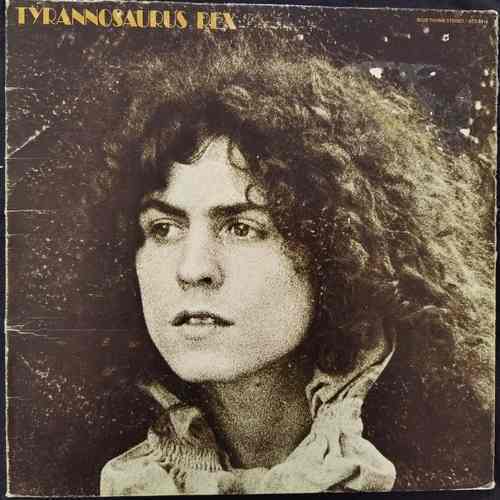 Tyrannosaurus Rex ‎– T. Rex  - A Beard Of Stars