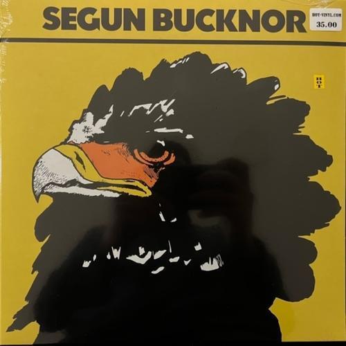 Segun Bucknor – Segun Bucknor