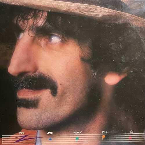 Frank Zappa ‎– You Are What You Is