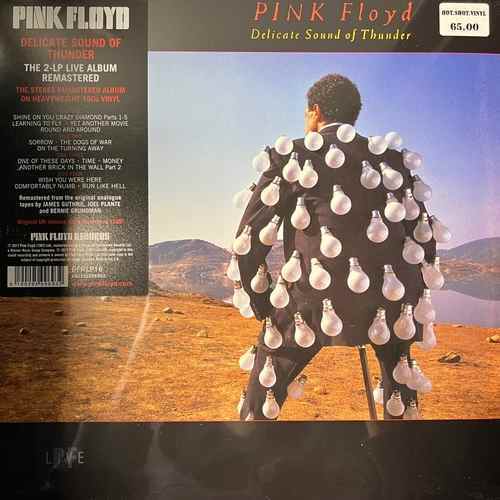 Pink Floyd – Delicate Sound Of Thunder