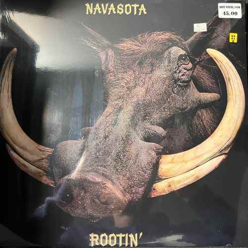 Navasota – Rootin'