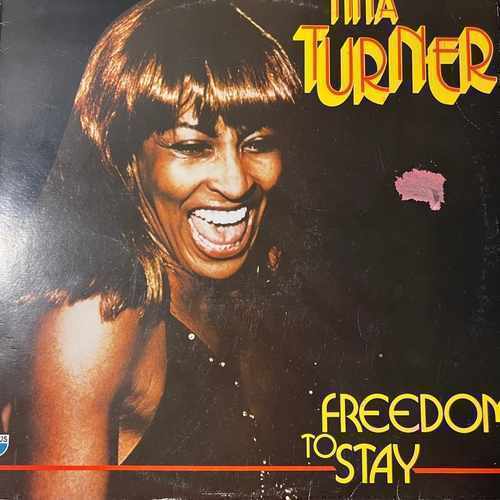 Tina Turner – Freedom To Stay