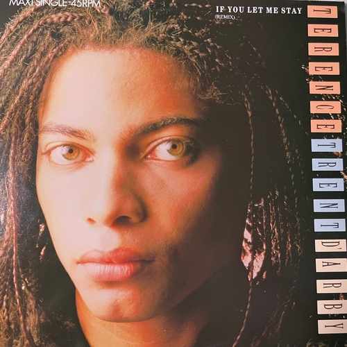 Terence Trent D'Arby – If You Let Me Stay (Remix)