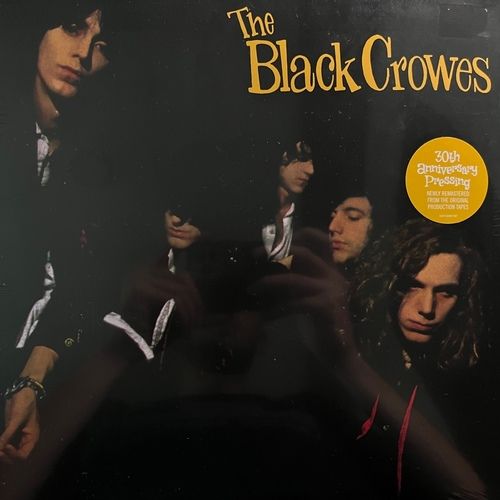 The Black Crowes – Shake Your Money Maker