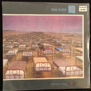 Pink Floyd ‎– A Momentary Lapse Of Reason