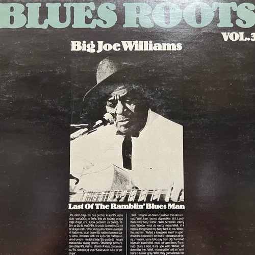 Big Joe Williams ‎– Last Of The Ramblin' Blues Man