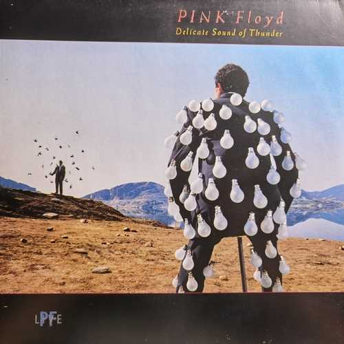 Pink Floyd ‎– Delicate Sound Of Thunder