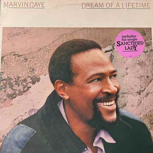 Marvin Gaye – Dream Of A Lifetime