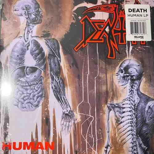 Death – Human