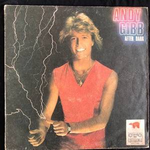 Andy Gibb ‎– After Dark